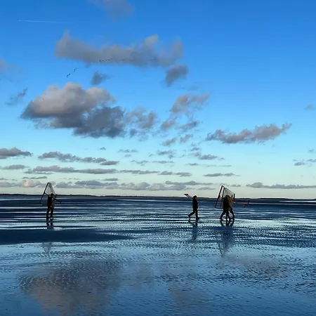 Lejlighed Fenetres Sur *